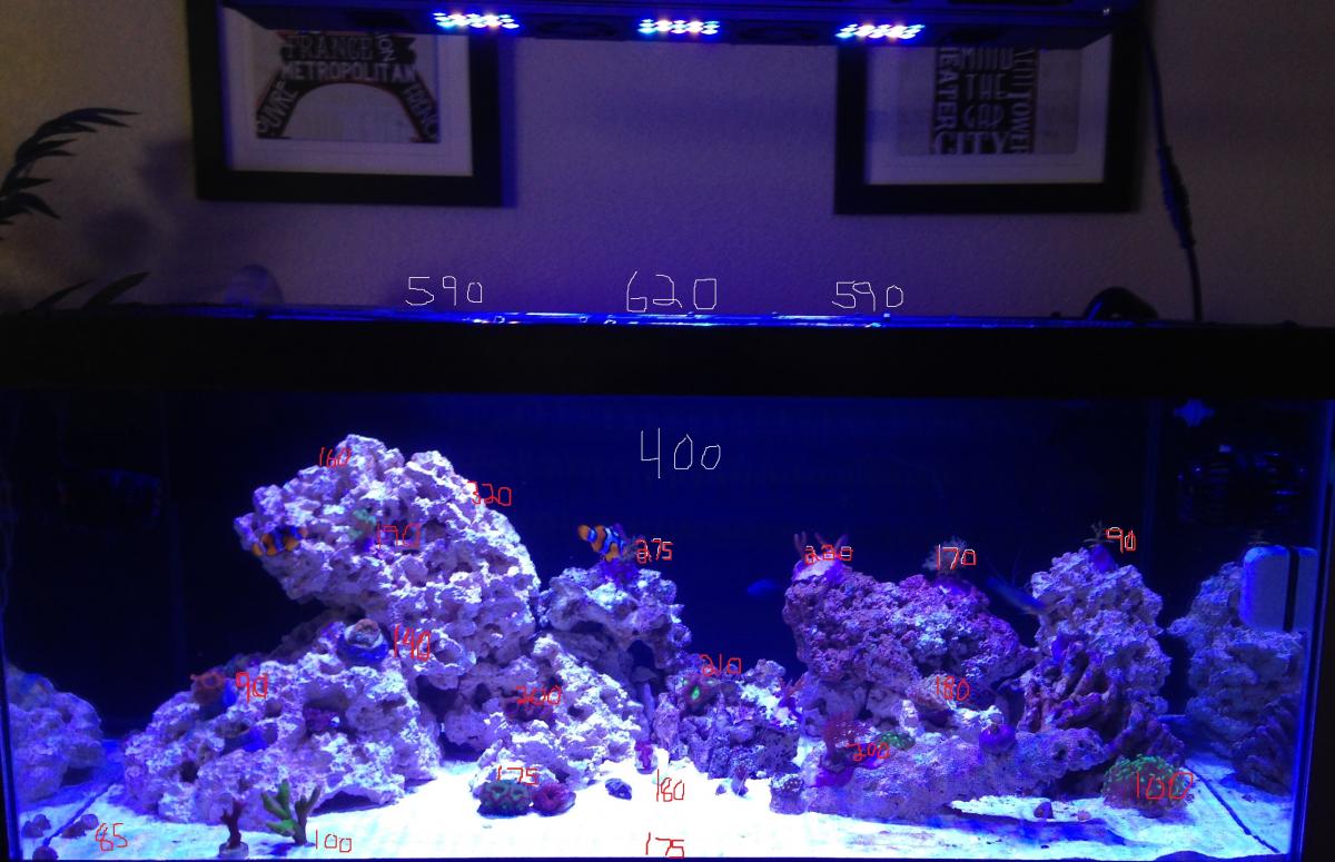 Maxspect Razor R420R 160W 16000K PAR Measurements - Lighting Forum -  Nano-Reef Community