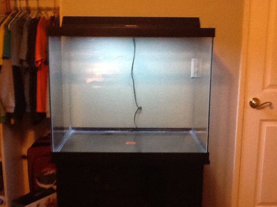 56 gallon aquarium best sale