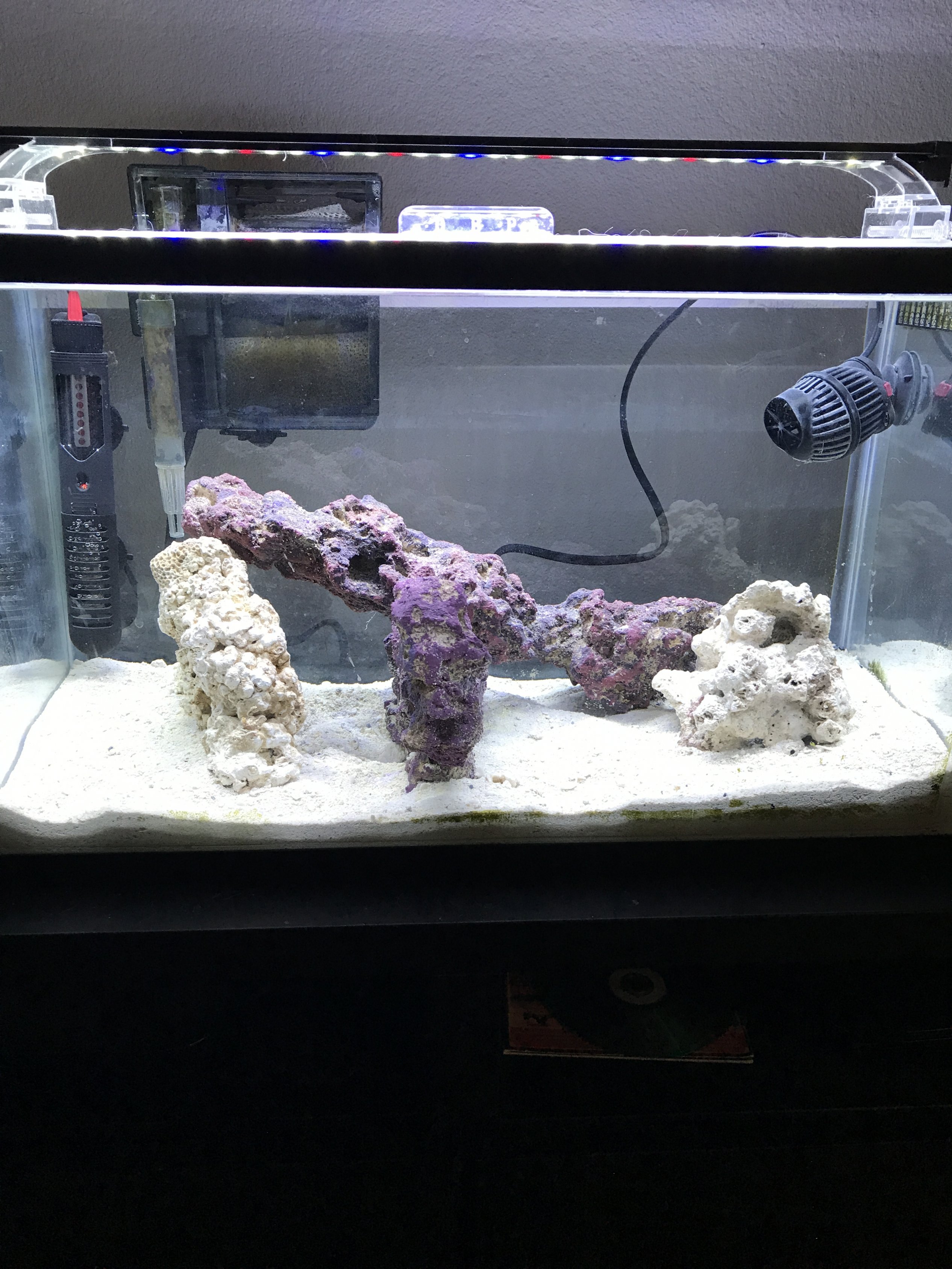 10G setup - Aquascaping Forum - Nano-Reef Community
