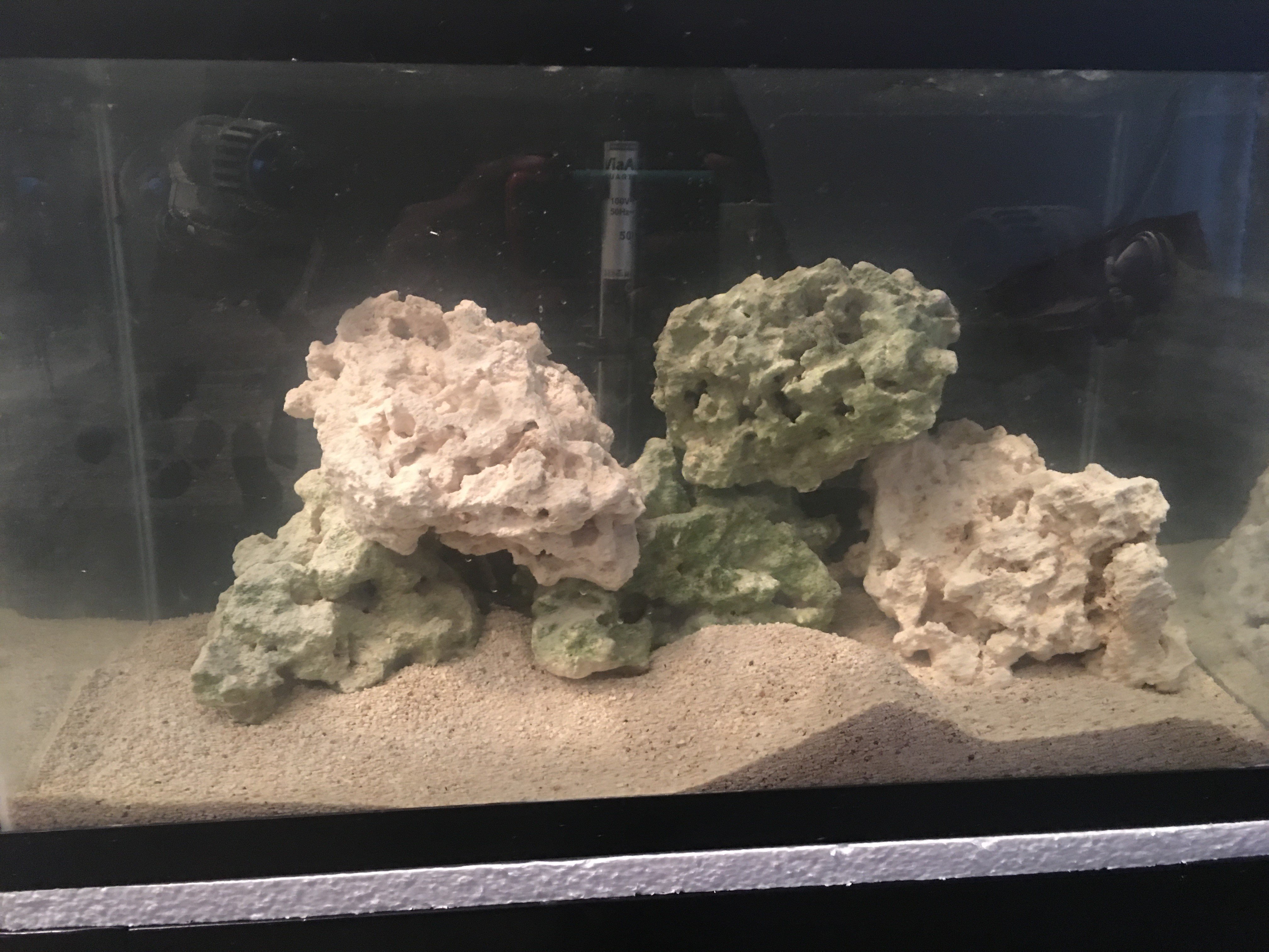 Too Much Live Rock - Beginners Discussion - Nano-Reef Community