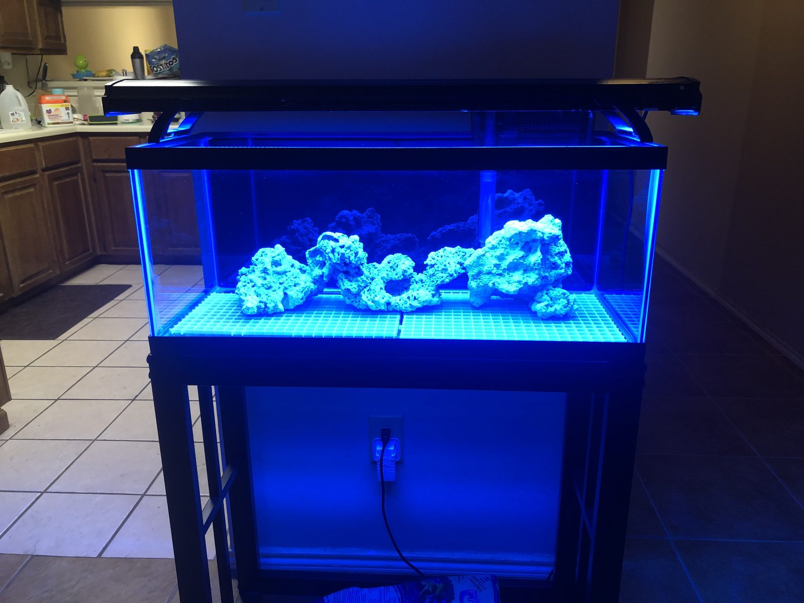 20 gallon reef tank best sale