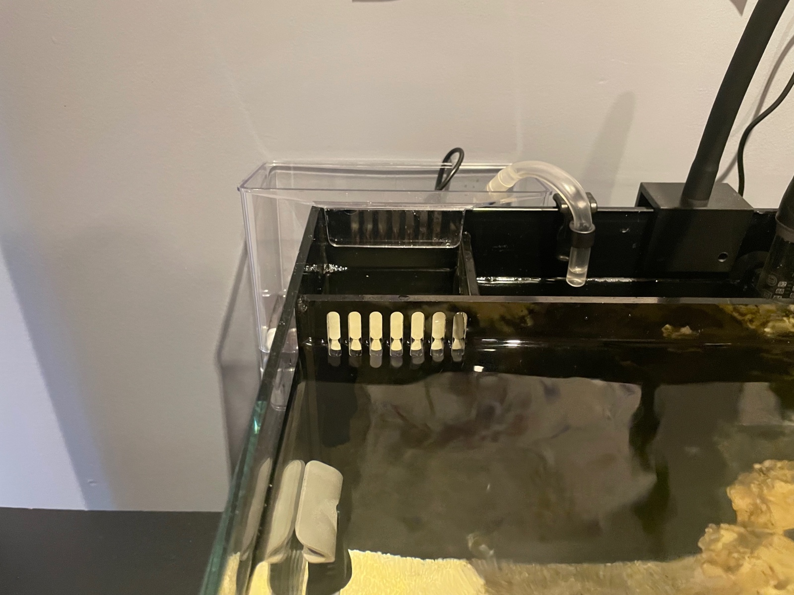 Reef Casa Studio 12 Dream Build - Nano Reef Journals - Nano-Reef Community