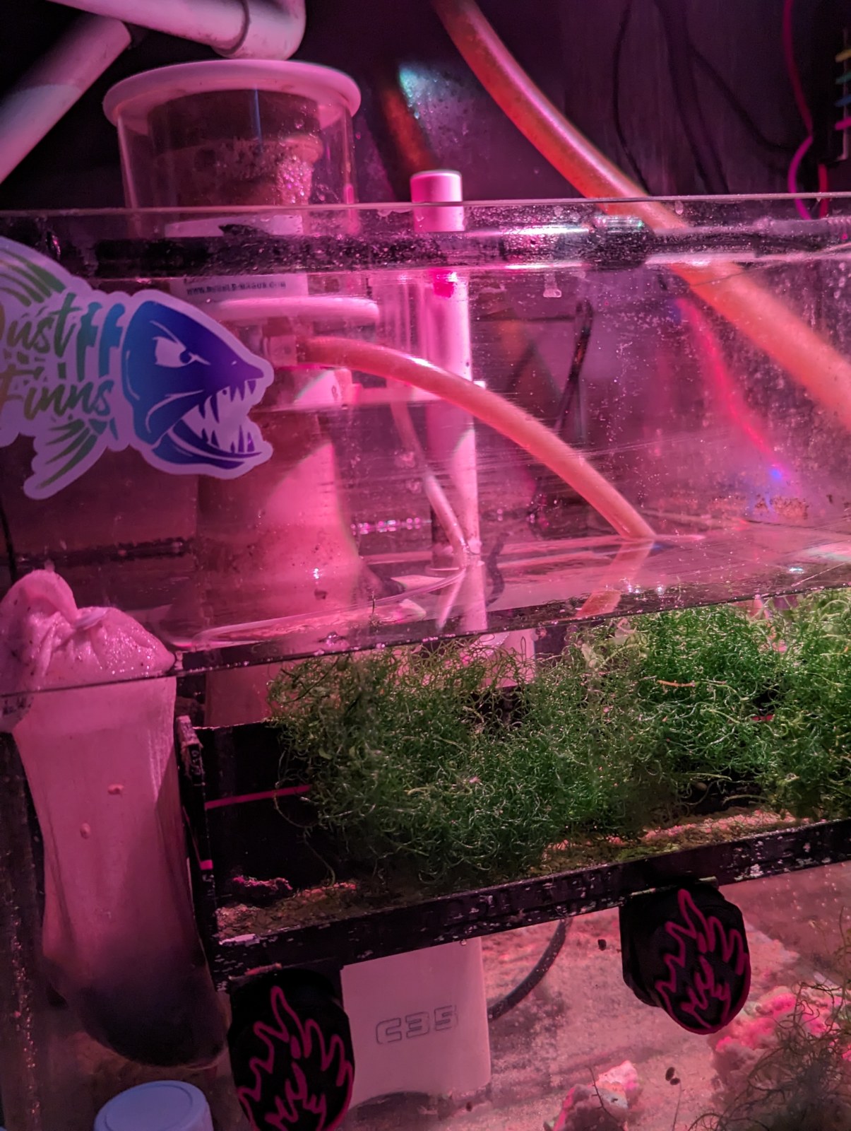 Picture Idea: Phosphate Control Water Chemistry