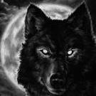 Night Wolf