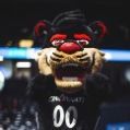 Mascot Insider