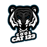 CoolCat123