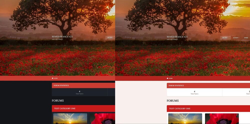 Remembrance-Pro-IC5-Dark-Light-Modes-Desktop-View.jpg