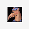 tAPir