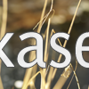 kase