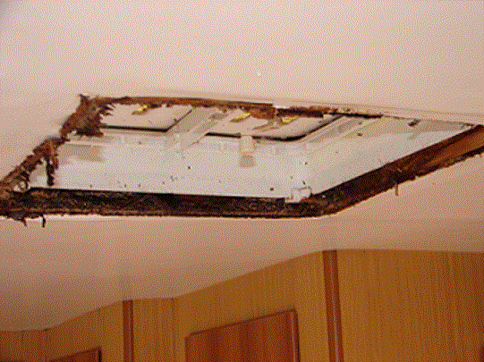 Water Ingress Spongy Ceiling Motorhome Matters Out About Live water-ingress-spongy-ceiling-motorhome-matters-out-about-live