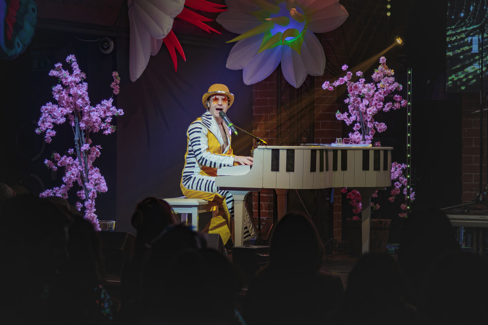 Elton 3.jpg