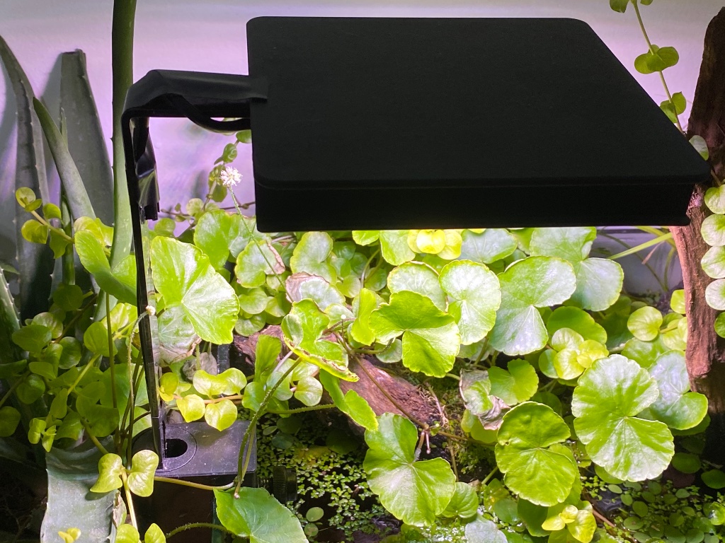height extender for fluval nano? - General Chat - Aquarium Co-Op Forum