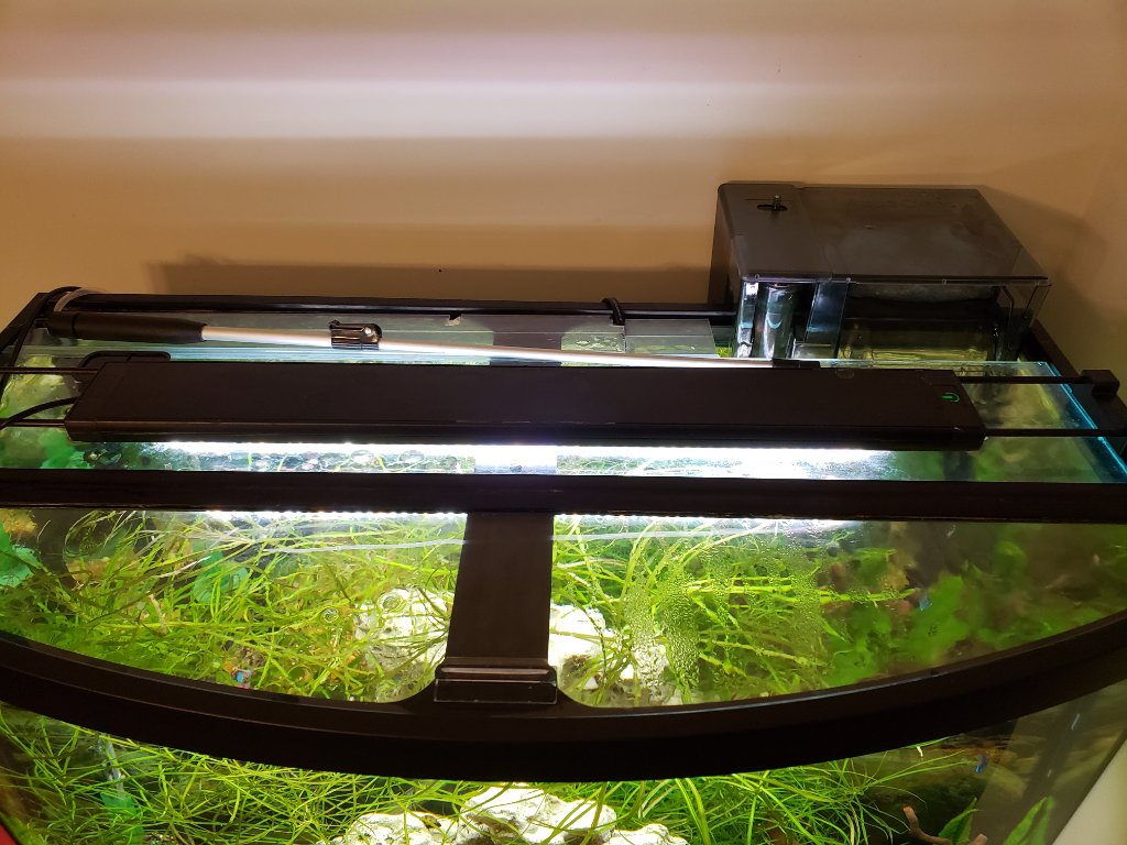 40 gallon bow front aquarium hood best sale