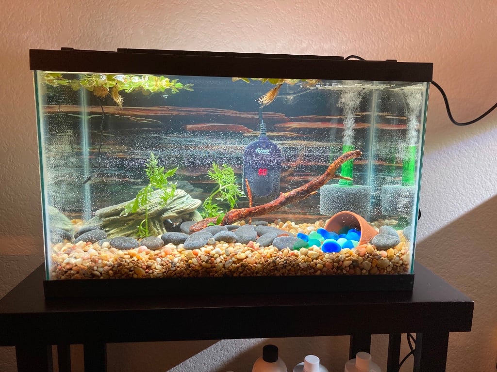 Aquasky -Is this light good for growing plants? - General Chat - Aquarium  Co-Op Forum