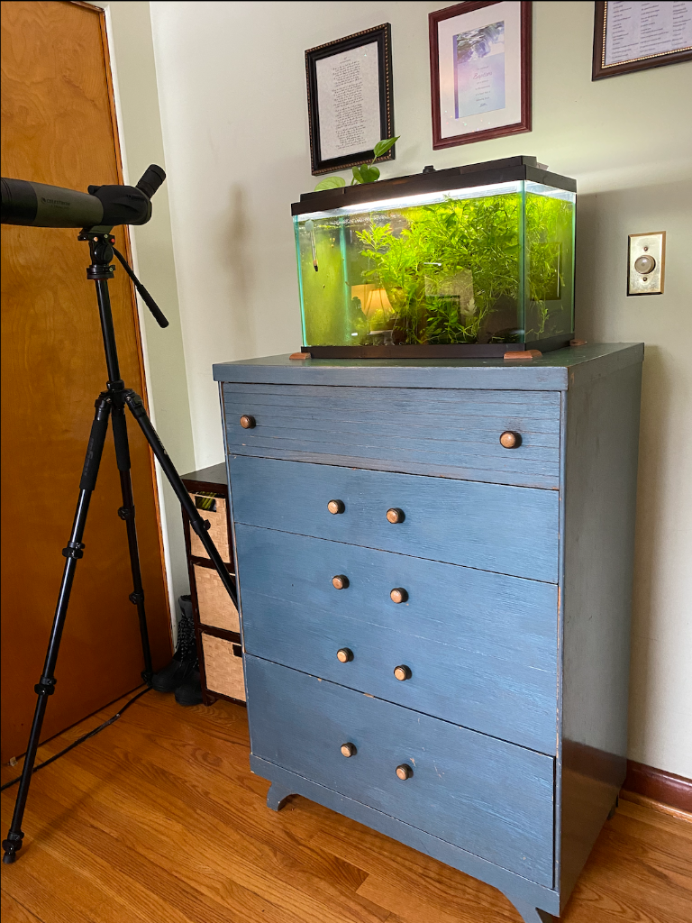 fish tank dresser alternative or DIY stands? - General Chat pet boxes Fish Tank Stand by daniel