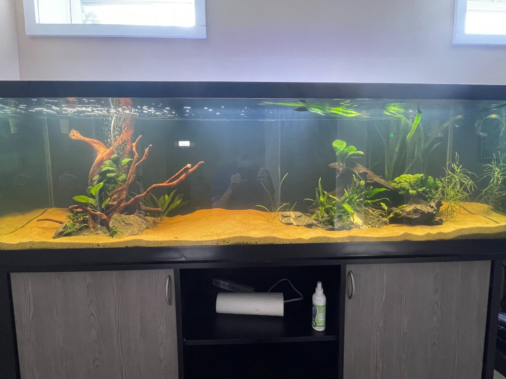 125 gallon fish tank best sale