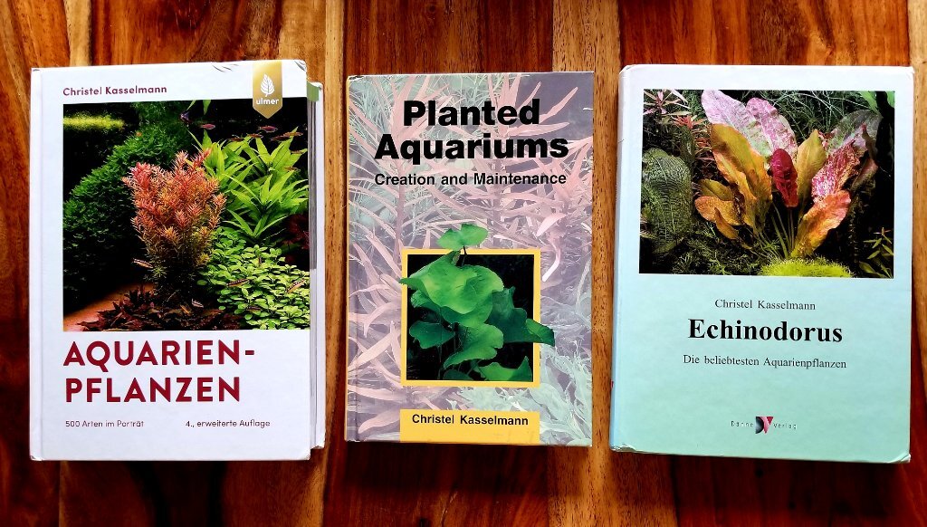 ID my sword plant - Plants, Algae, and Fertilizers - Aquarium Co-Op Forum