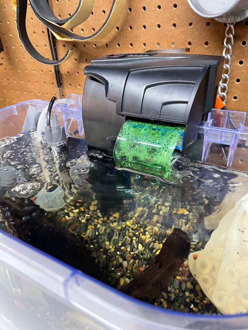 Which filter for snail tank? - General Chat - Aquarium Co-Op Forum