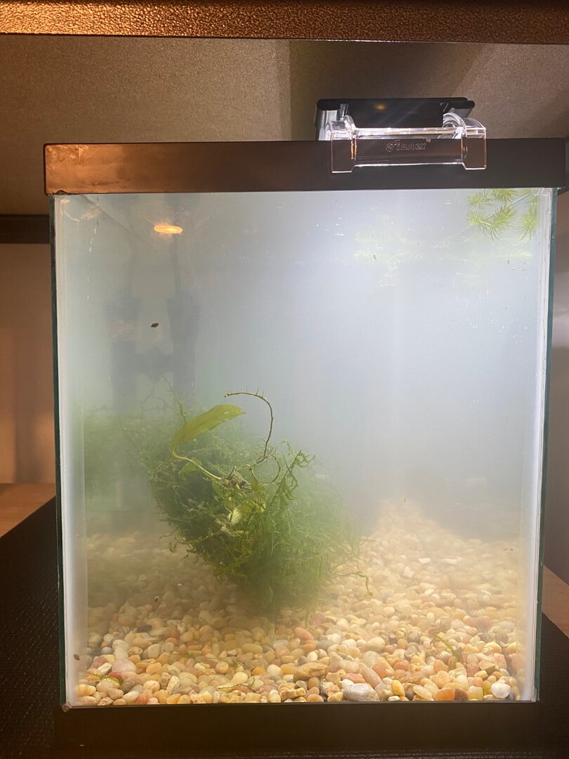 Tank leveling question - General Chat - Aquarium Co-Op Forum
