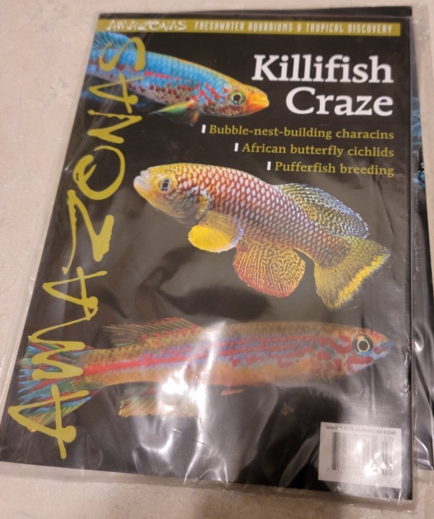 Killifish-Iwシステム手帳 Killifish-Iwシステム手帳