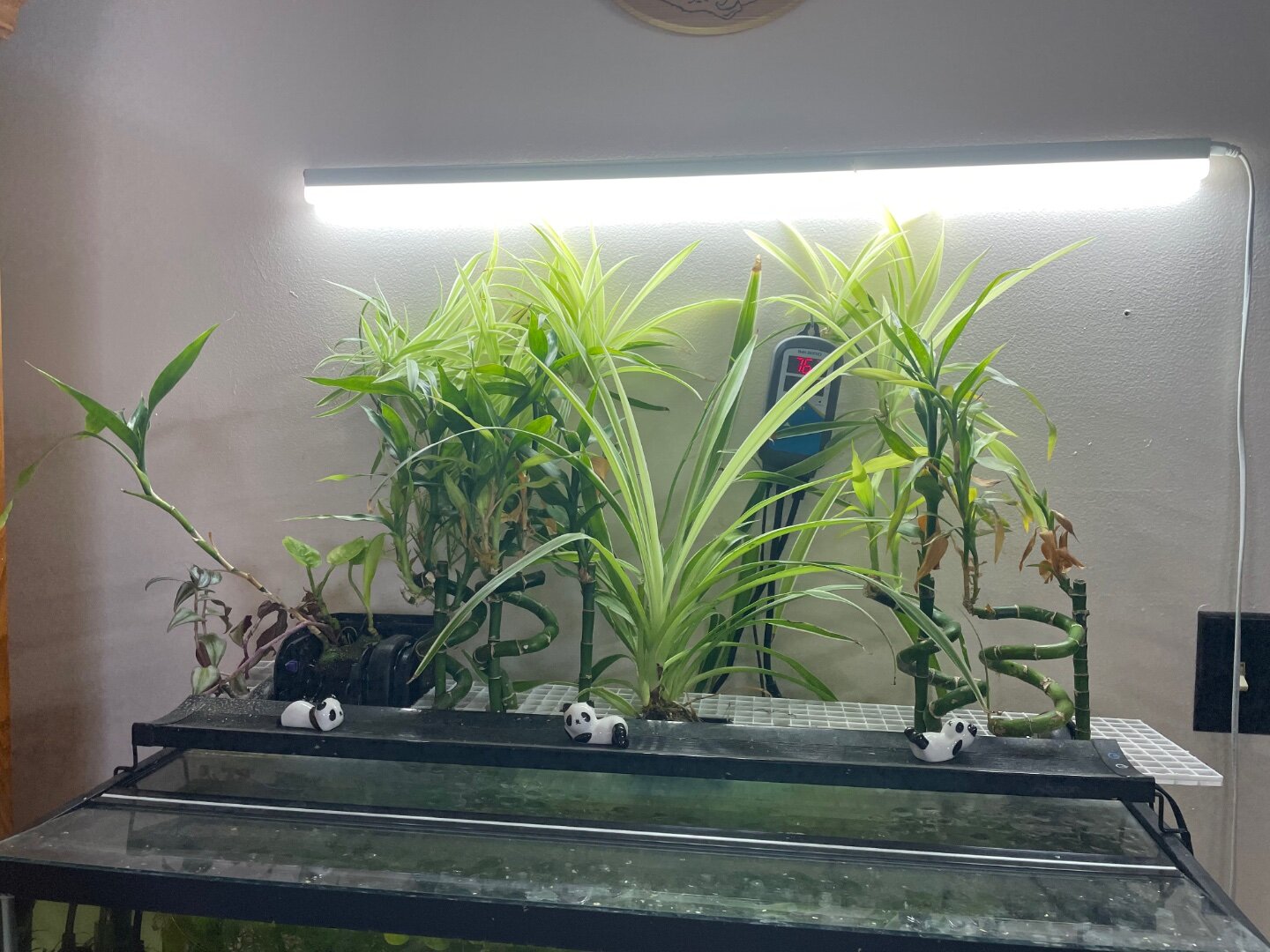 pot plant vertical garden 2-Tower Self-Watering Vertical Garden main image 1