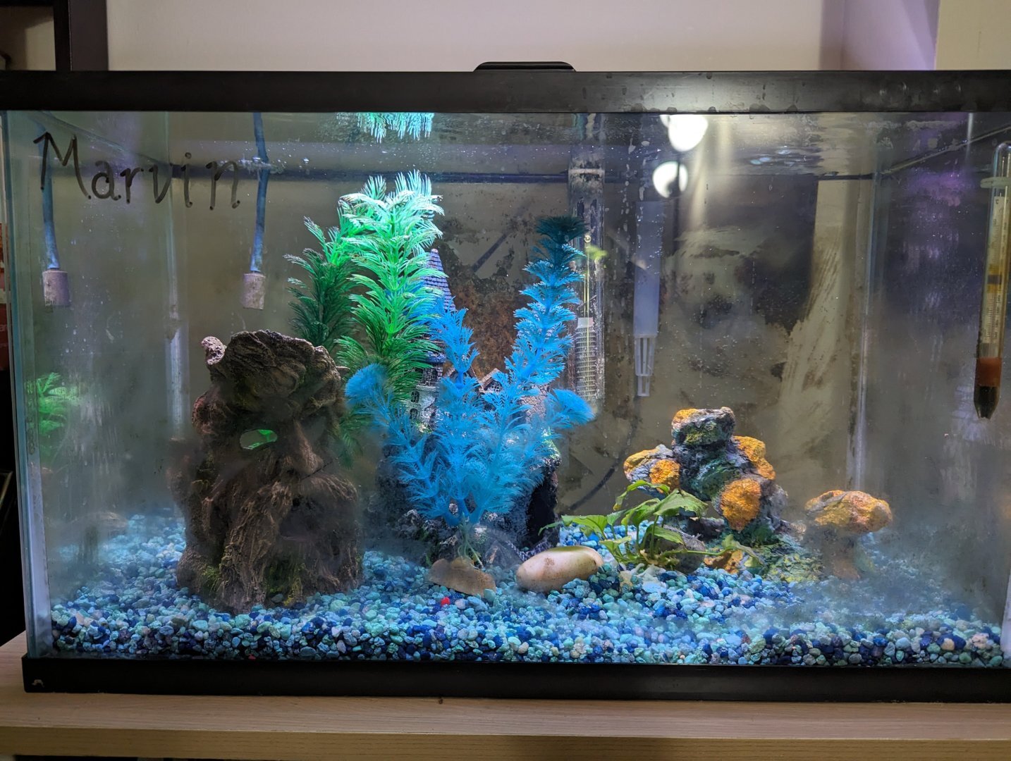 Plants in Extreme Hard Water - Plants, Algae, and Fertilizers - Aquarium  Co-Op Forum