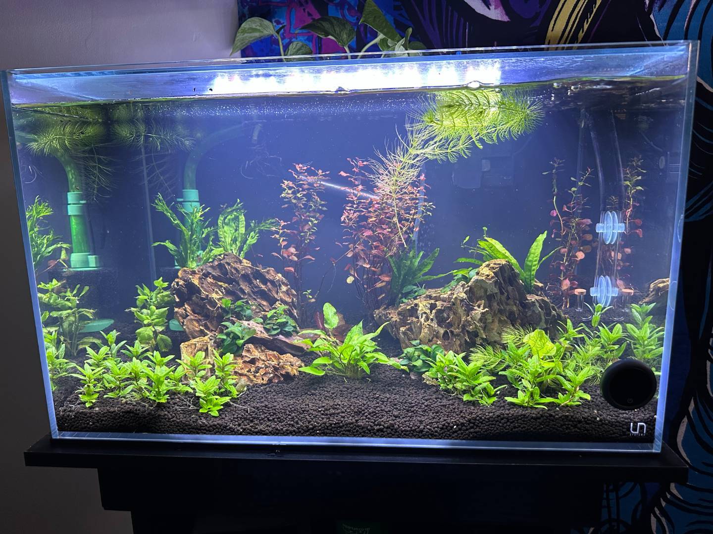 Photo inspiration: Picture Idea: Floating Plants Surface Agitation