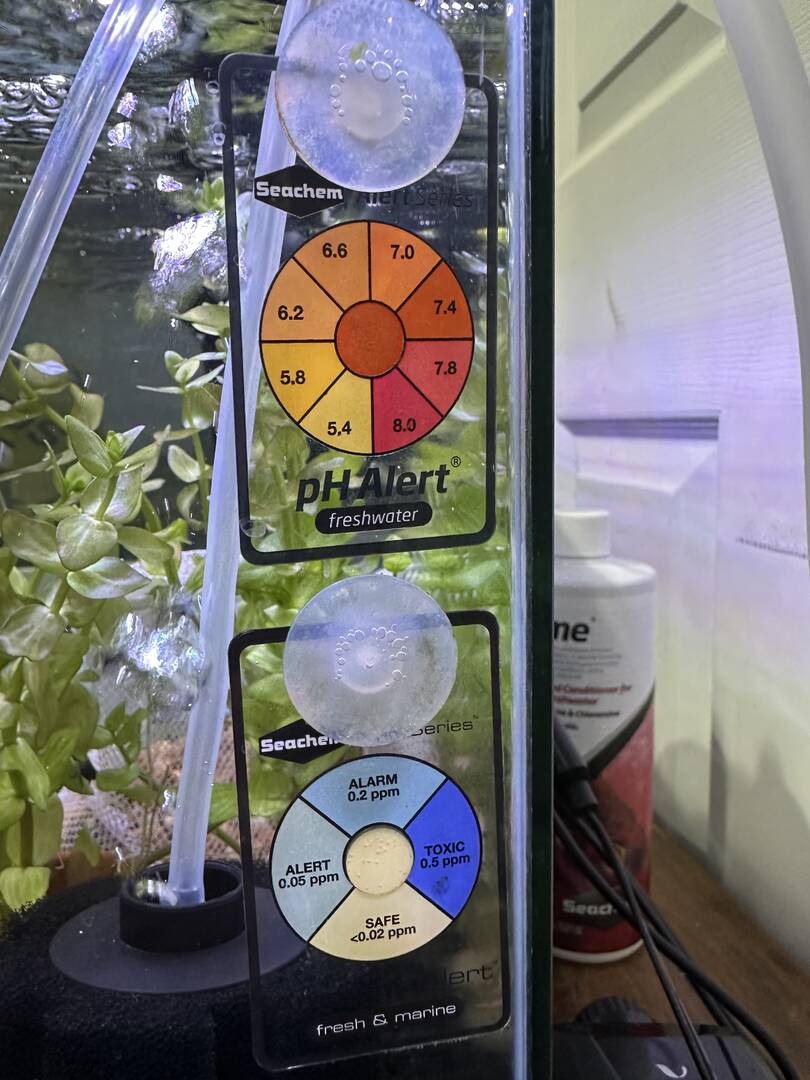 Seeding the new tank with biofilters—how long? - General Chat ... - Setting Up A Goldfish Aquarium Bioreactor Filter