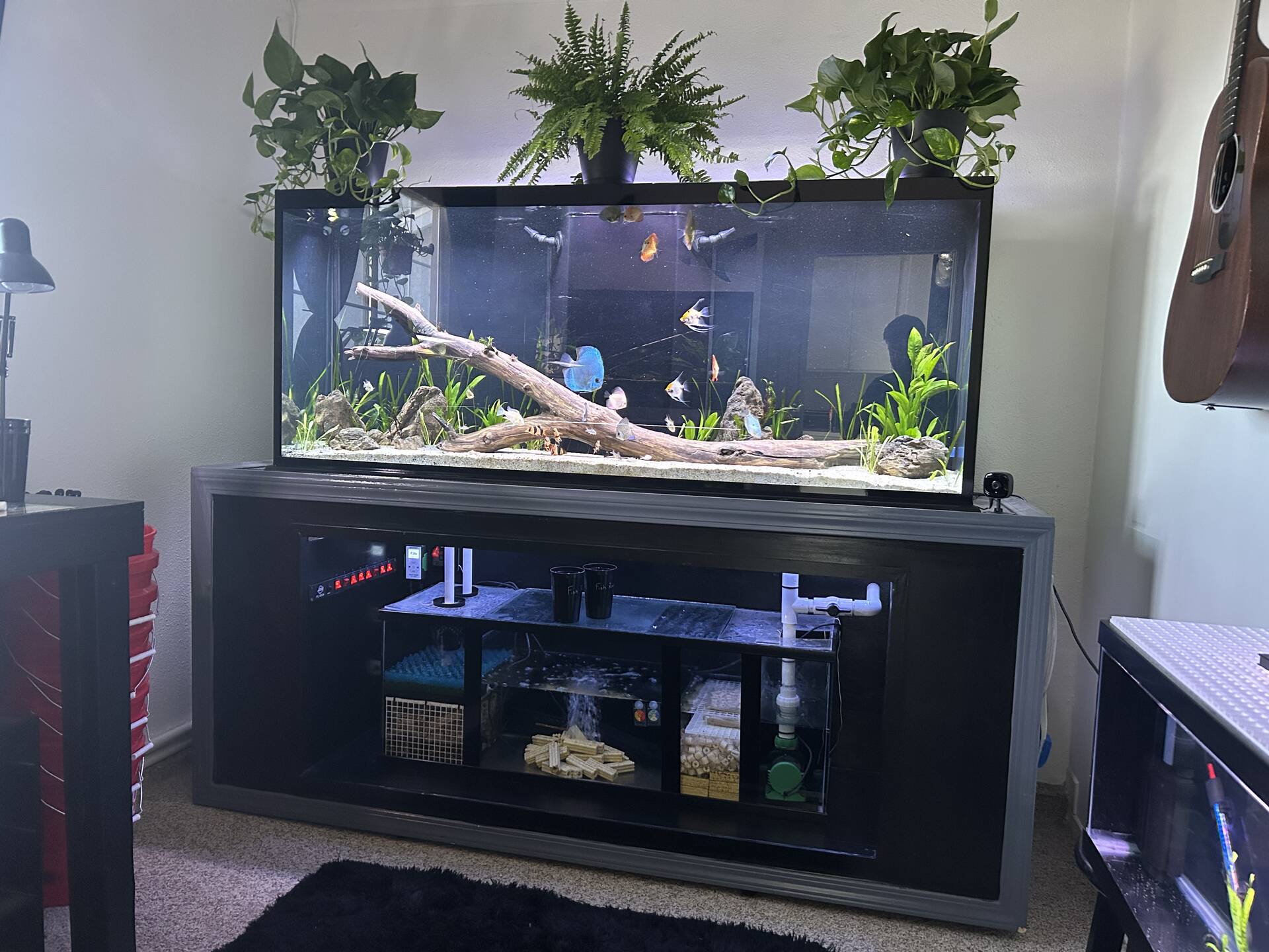 Photo inspiration: Aquarium Agitation System Reference: Let S Talk Surface Agitation General Chat