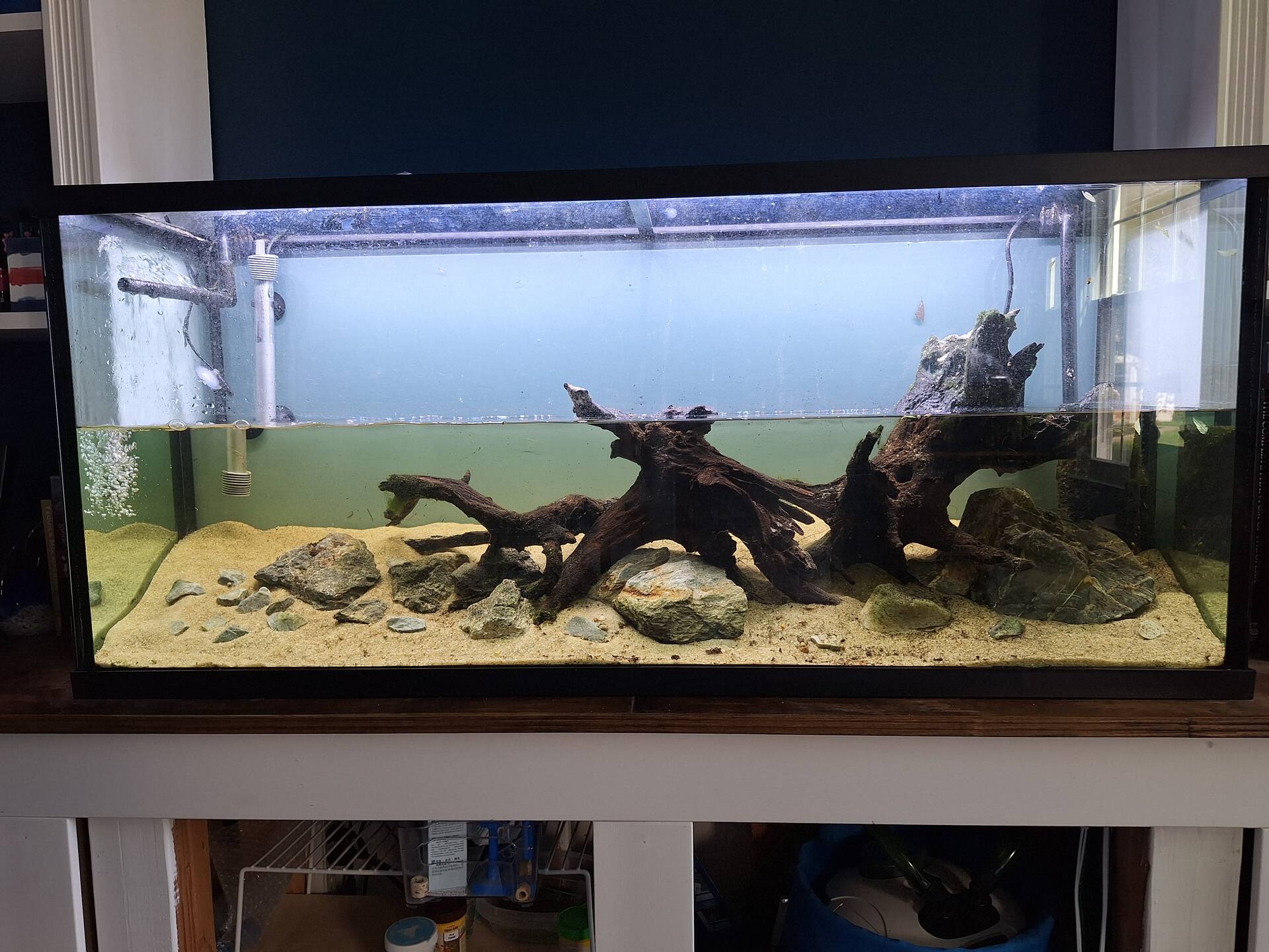 55 Gallon Home Office Bookshelf Community Tank Journal - Photos