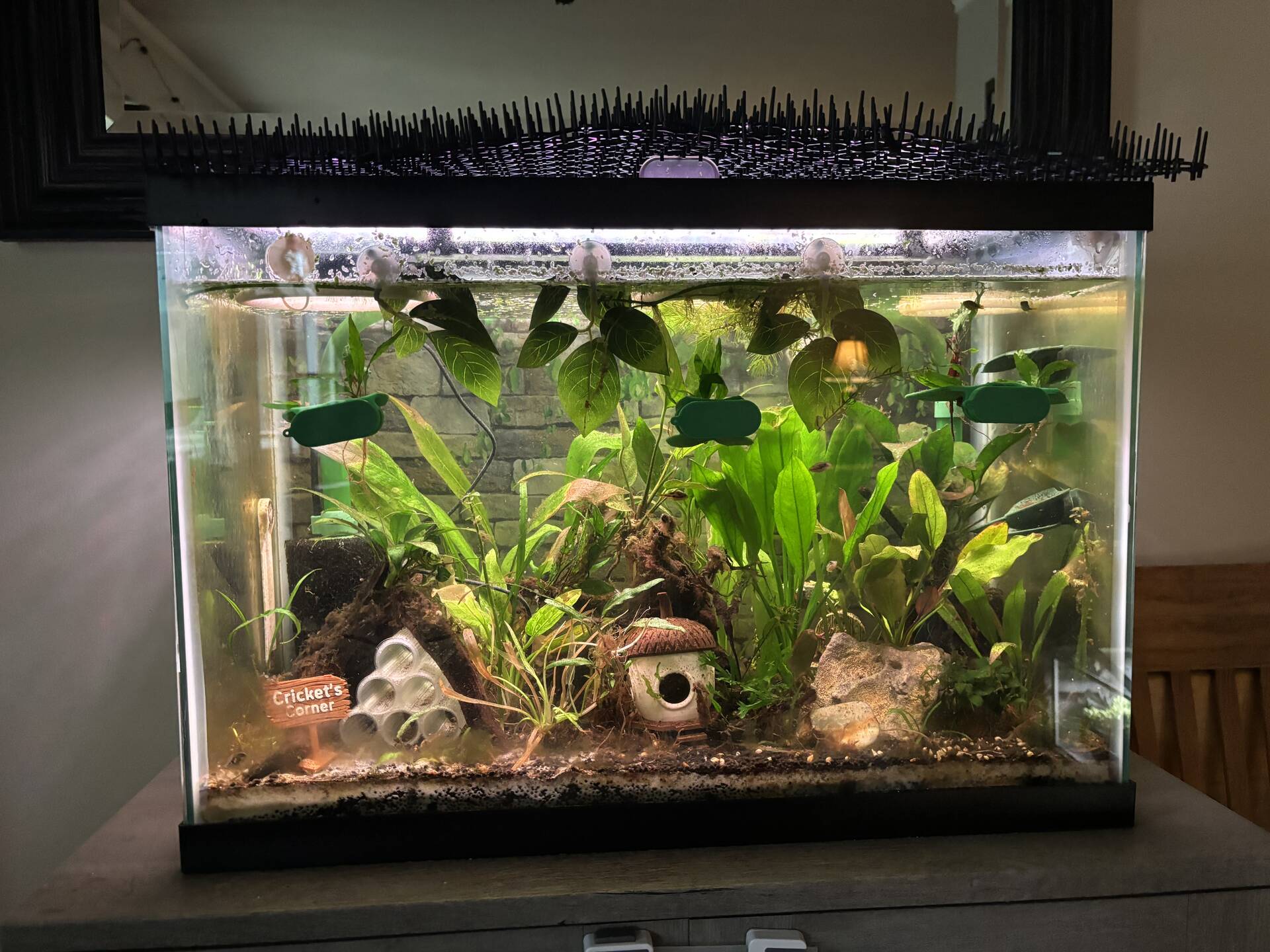 PLA, aquarium safe? - Aquarium DIY & 3D Printing - Aquarium Co-Op Forum
