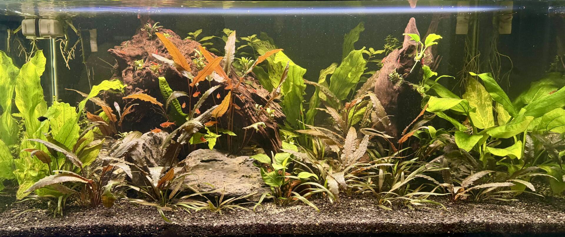 Fluval Plant 3.0 Scheduling and Programming - Community Resources -  Aquarium Co-Op Forum