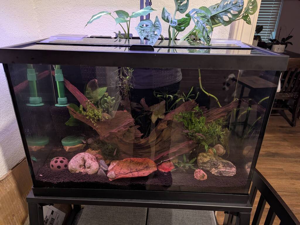 How much magic small fish feed to give? - General Chat - Aquarium Co-Op ...