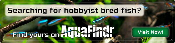 Aquafindr Banner