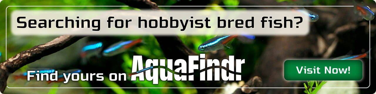 Aquafindr Banner