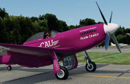 N64CL 'Plum Crazy' CAU, Vicky Benzing Mustang livery for