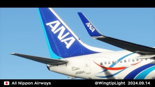 8K] Zibo B737-800 ANA 