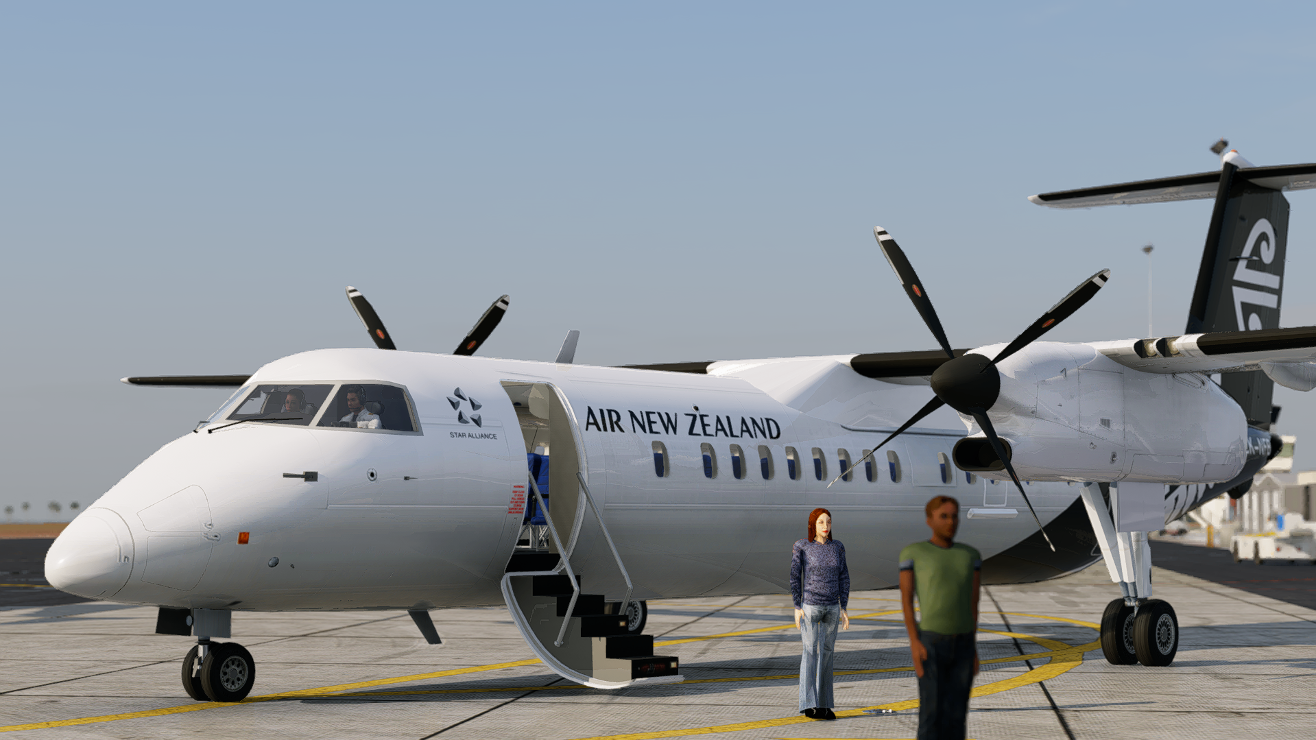 Rivière / Manky1] Dash 8 Q-300 Air New Zealand Fleetpack - Other
