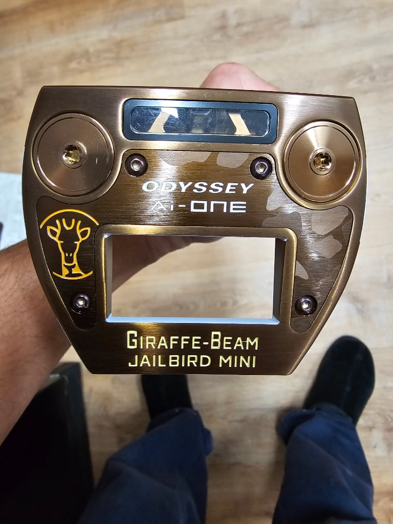 Price drop! Make Some Offers!🦒Odyssey Ai-One Giraffe Beam
