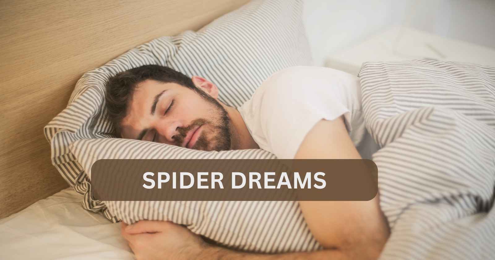 10 Intriguing (Surprising) Meanings of Spider Dreams - Dreaming - eNotAlone