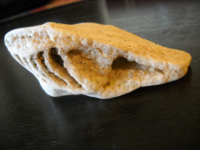 Crystallized Shell? - Fossil ID - The Fossil Forum