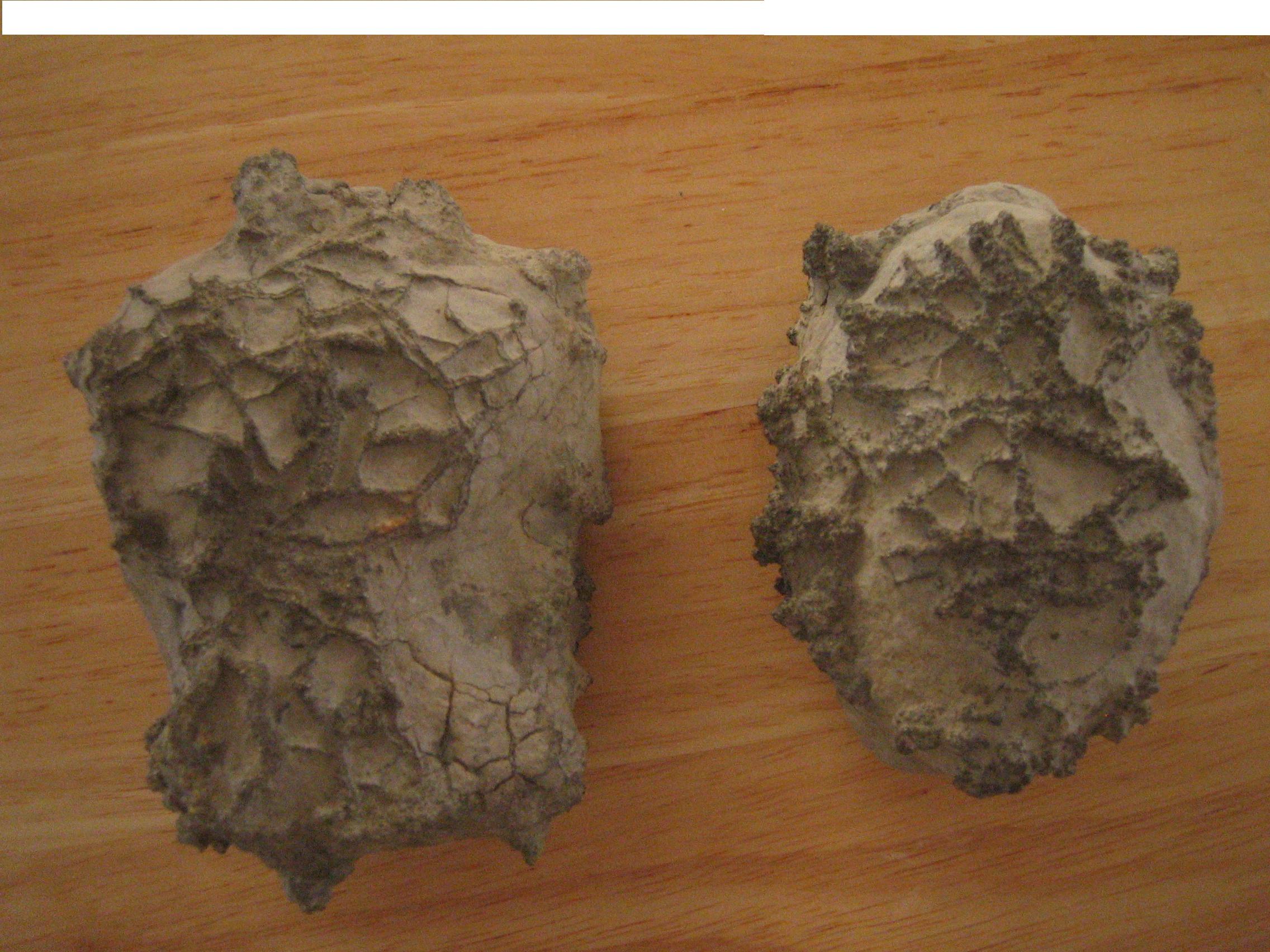 Pyrite Shapes - Rocks & Minerals - The Fossil Forum