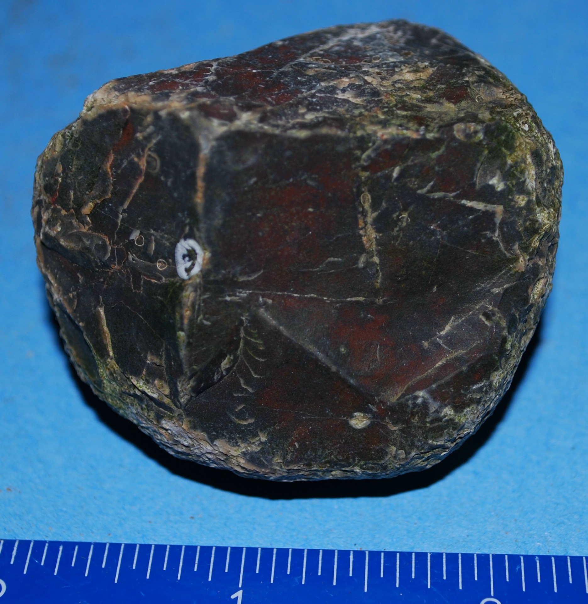 More Rock Help - Rocks & Minerals - The Fossil Forum