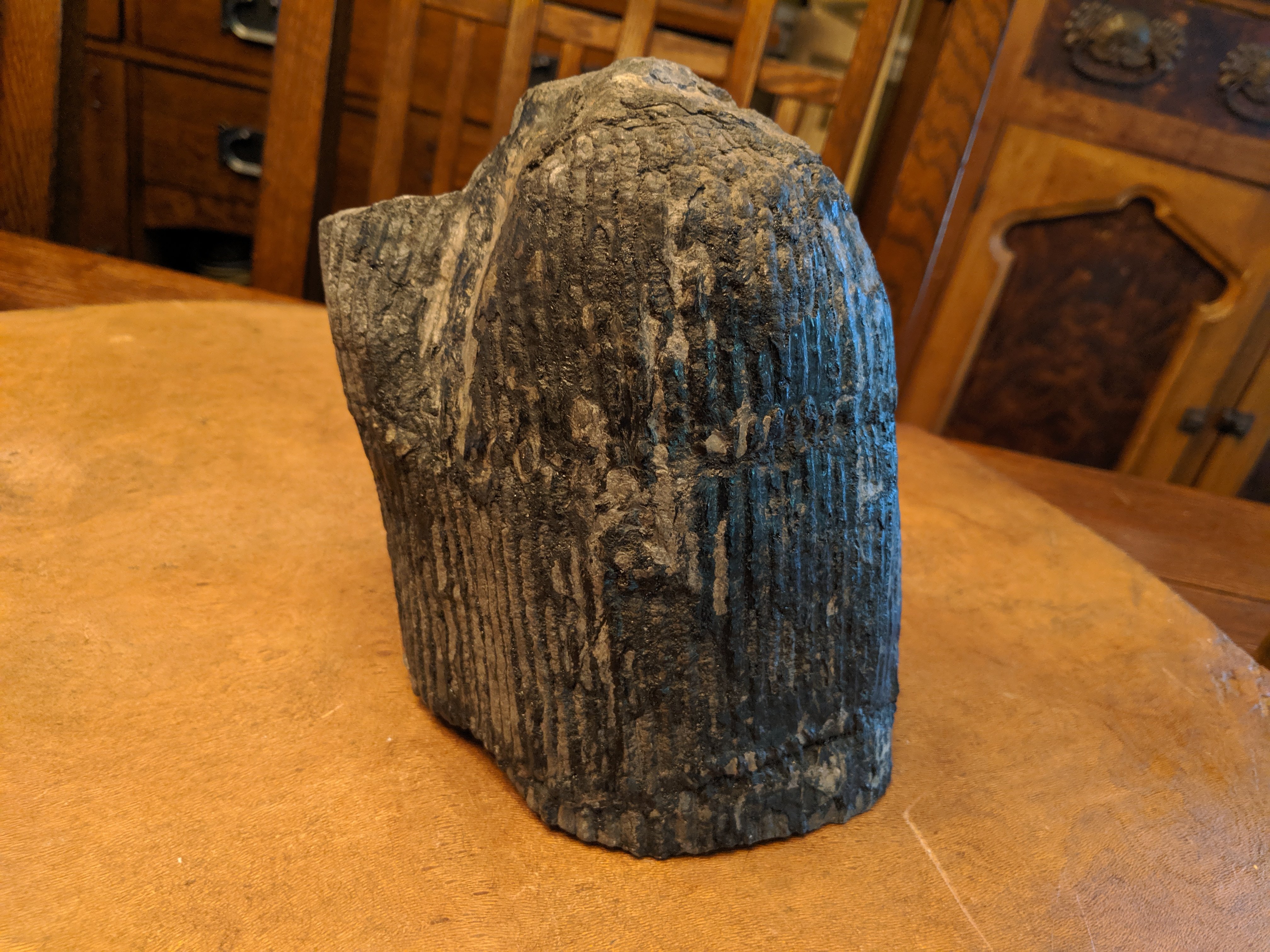 Help Identify. Petrified Wood? Petrified Cactus? Something else? - Fossil  ID - The Fossil Forum