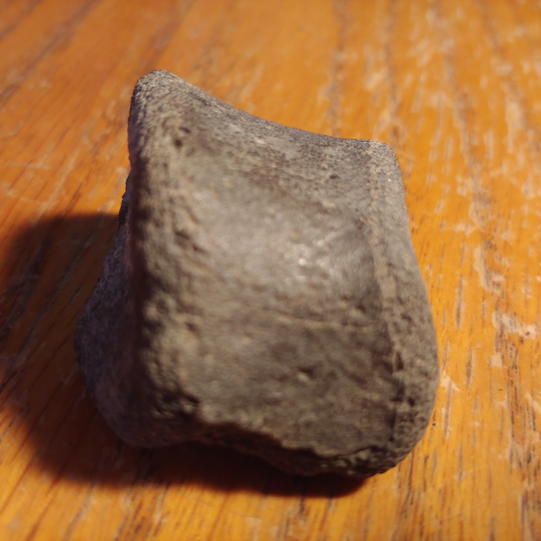 Phoebus Landing Hadrasaur Metatarsal - General Fossil Discussion