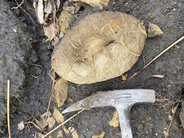 C2T Ranch - Kansas - Fossil Hunting Trips - The Fossil Forum