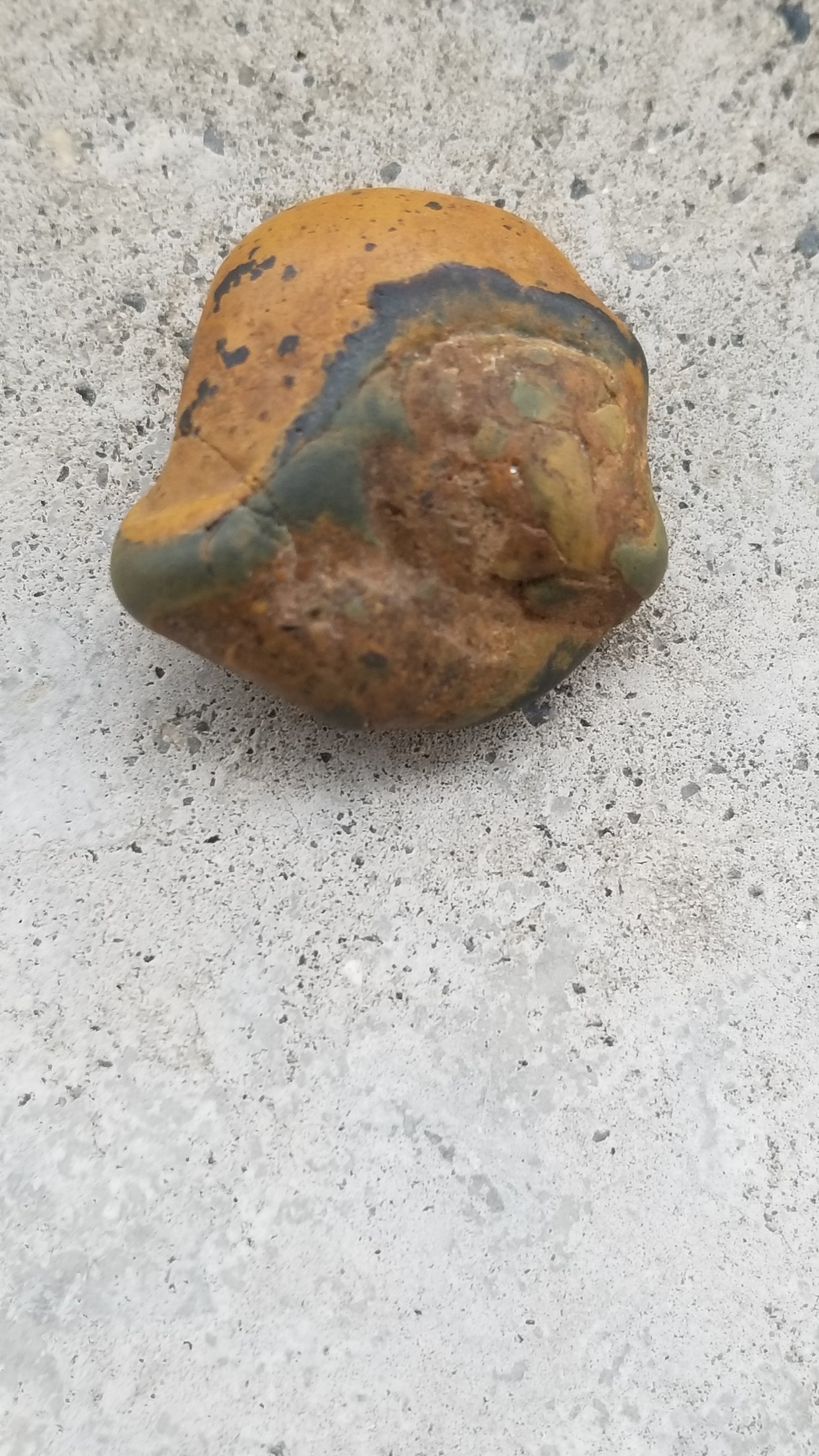 First time posting, new member!! - Rocks & Minerals - The Fossil Forum