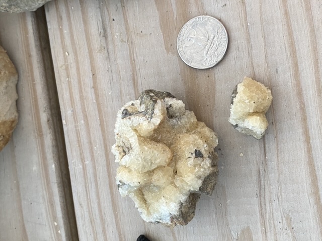 C2T Ranch - Kansas - Fossil Hunting Trips - The Fossil Forum