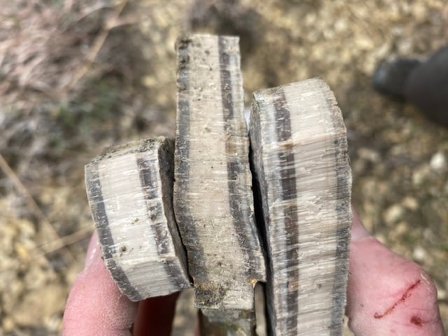 C2T Ranch - Kansas - Fossil Hunting Trips - The Fossil Forum