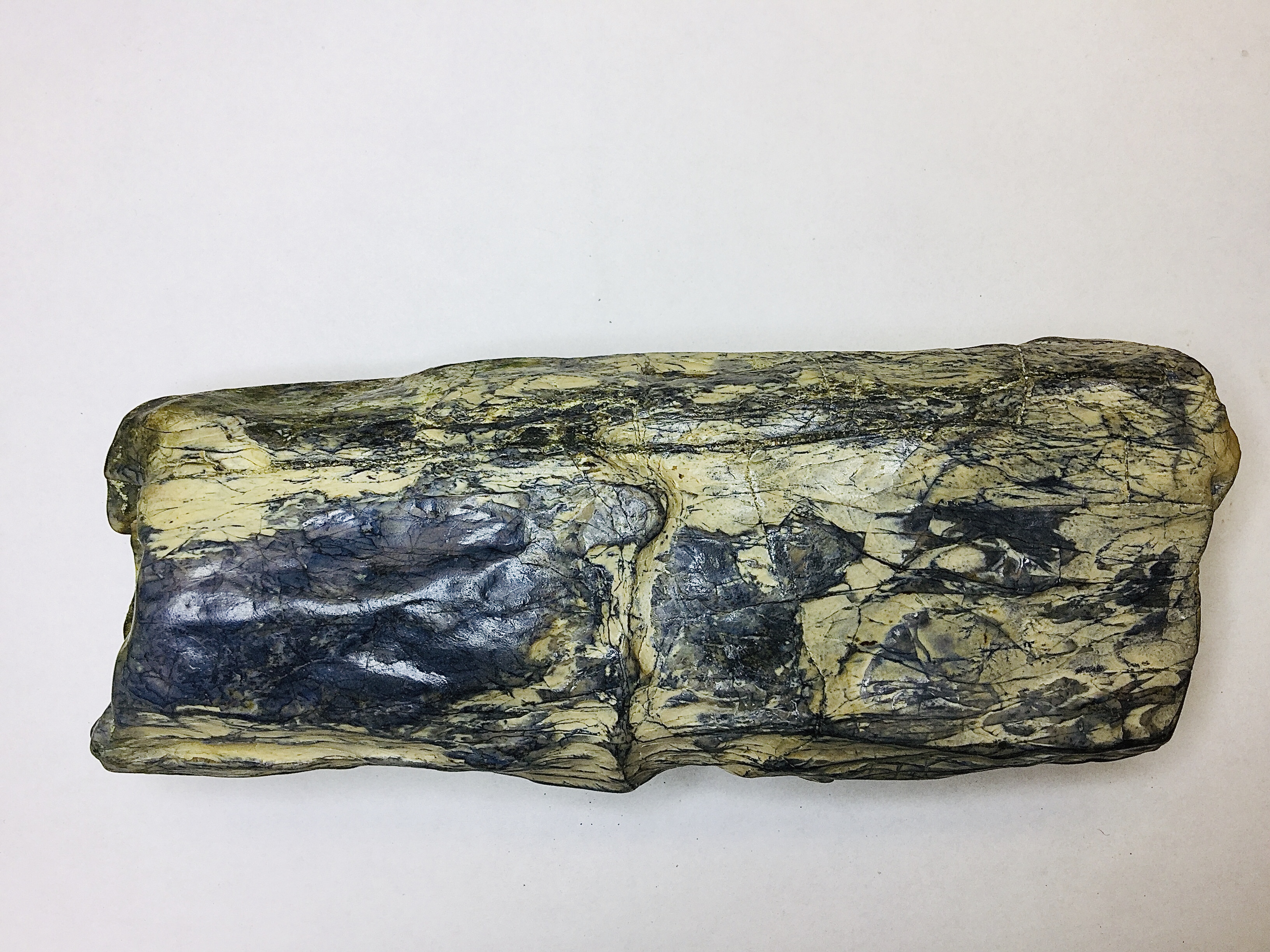 It's way too heavy to be petrified wood and non metallic - Fossil